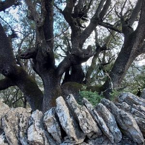 Senderismo Morrano-Pedruel-Rodellar (26 Marzo 2023)