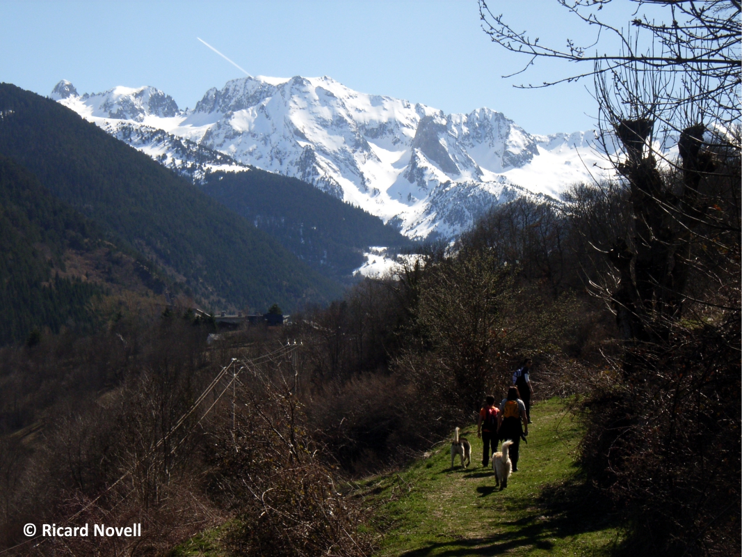 Viella a Bossot (17 de Septiembre 2023) - Imagen 3