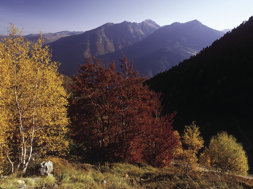 Viella a Bossot (17 de Septiembre 2023)