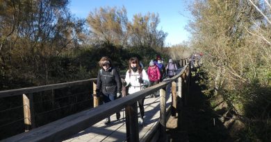 Marcha Nórdica MAB en el Galacho de la Alfranca…”-¡viaje con nosotros…”!